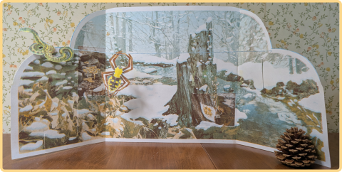 Winterkele 2025. Nature themed winter holiday calendar featuring leaf litter creatures.